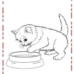 gatinho para colorir