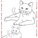 gatinho para colorir