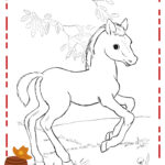 desenho de cavalo para colorir