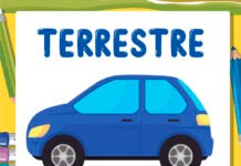 Meio de Transporte Terrestre Meio de Transporte Terrestre