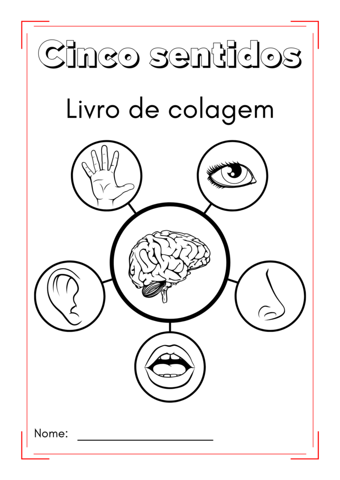 os cinco sentidos