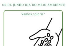 15 atividades Educação Infantil Dia do Meio Ambiente 15 atividades Educação Infantil Dia do Meio Ambiente