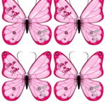 Lembrancinha borboleta para Prendedor de cabelo