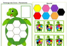 Tartaruga das Cores – Pareamento Tartaruga das Cores – Pareamento