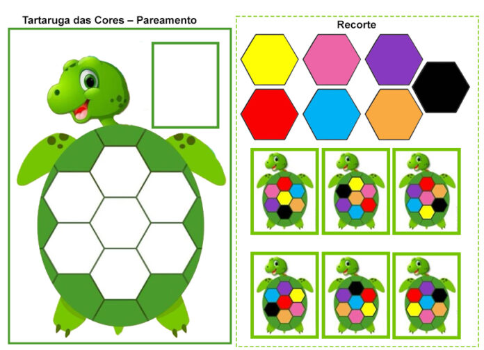 Tartaruga das Cores – Pareamento